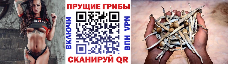 Галлюциногенные грибы мицелий  Нижняя Тура 